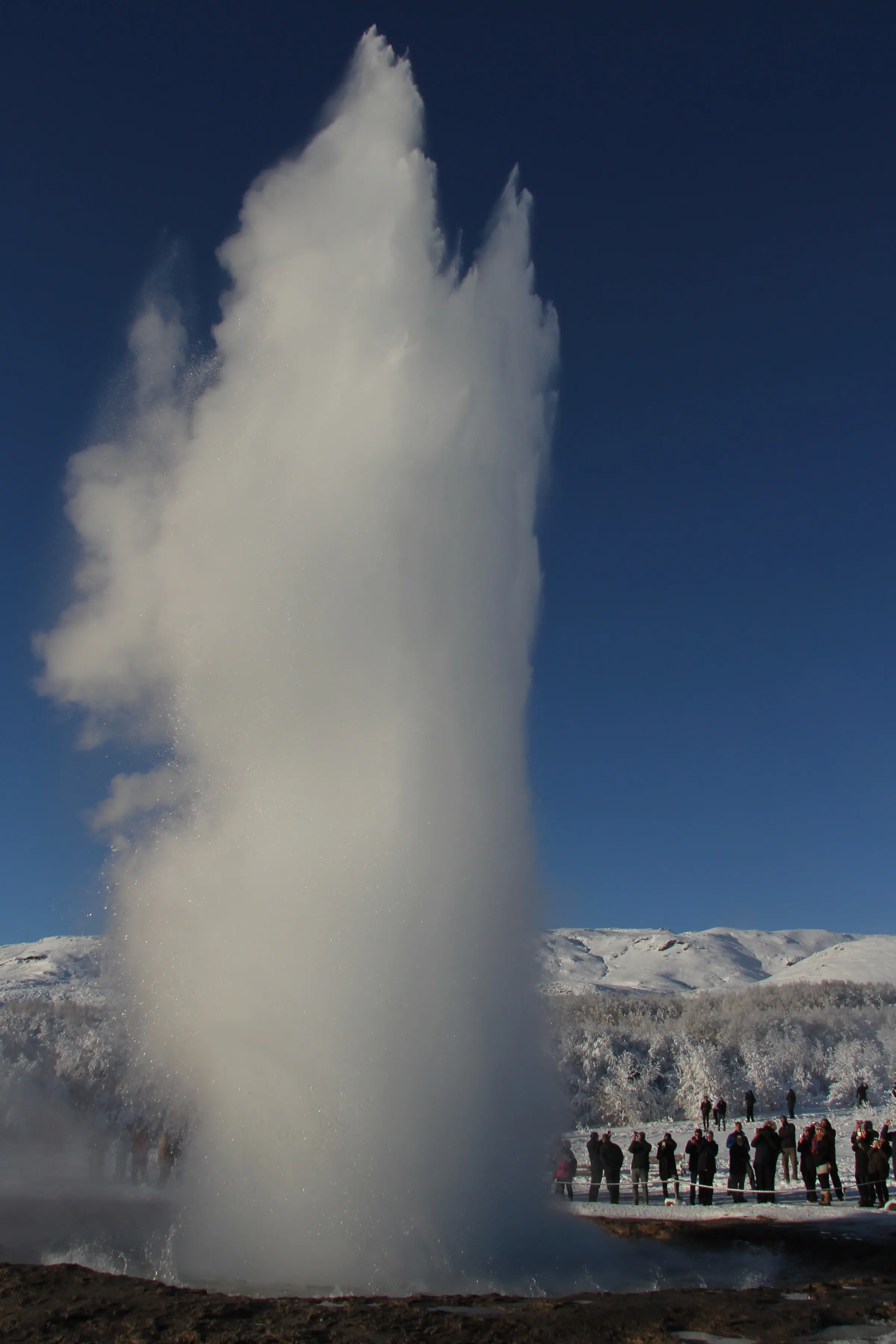 Strokkur gýs að vetri: hár strókur af vatni og gufu upp í heiðbláan himin og ferðafólk fylgist með bak við kaðalinn.