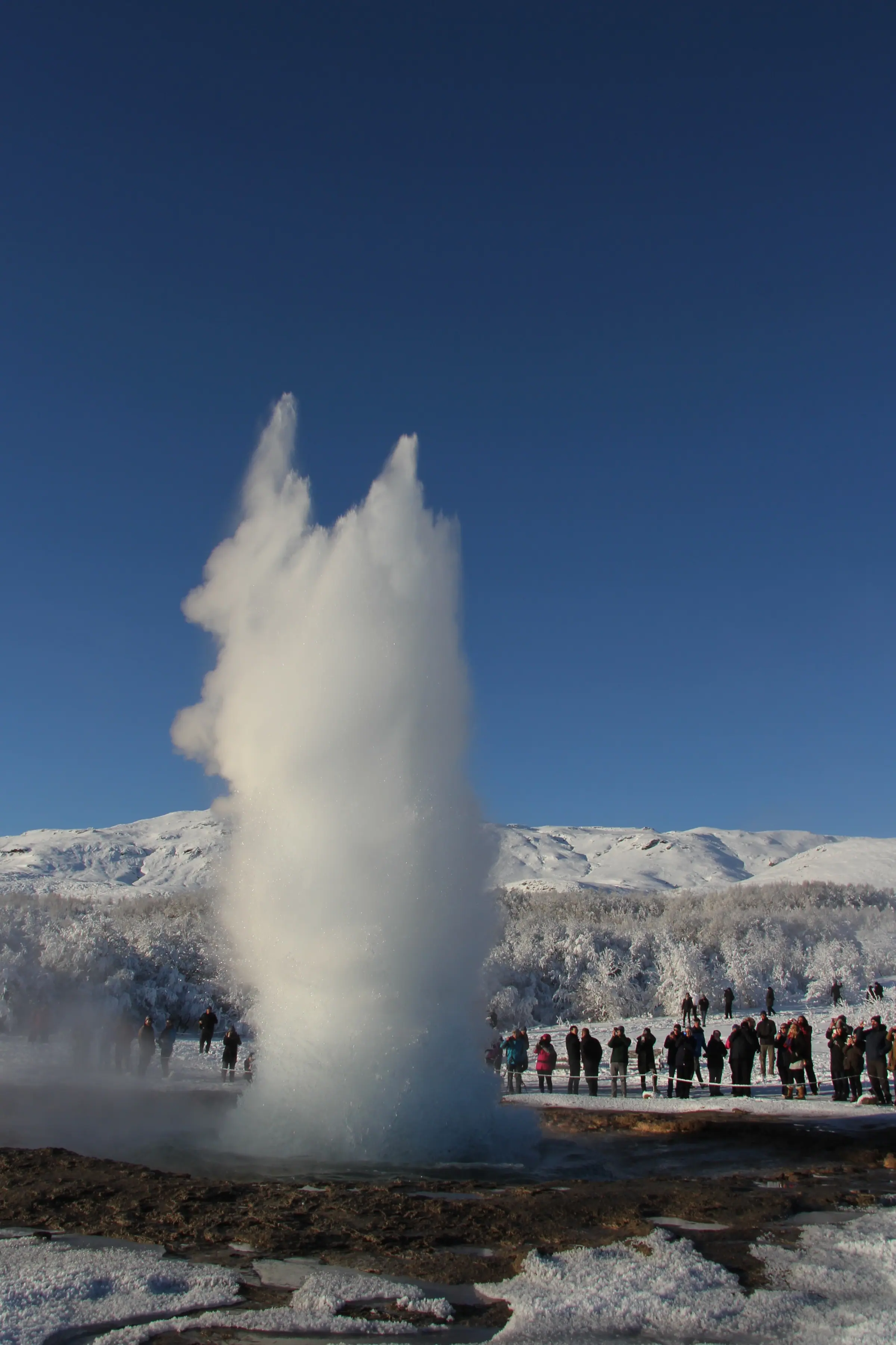 Strokkur a second into an eruption, the water tearing upward in two plumes over the frozen geothermal field.